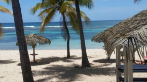 Appartement Paradis Tropical